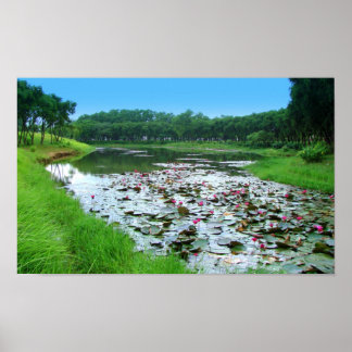 Touch der Natur Poster