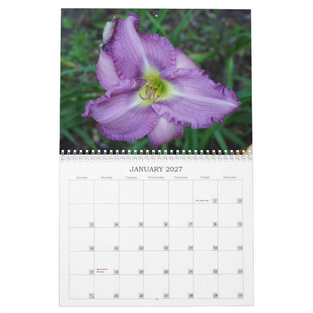 Touch der Sun-Taglilien II Kalender (Jan 2027)