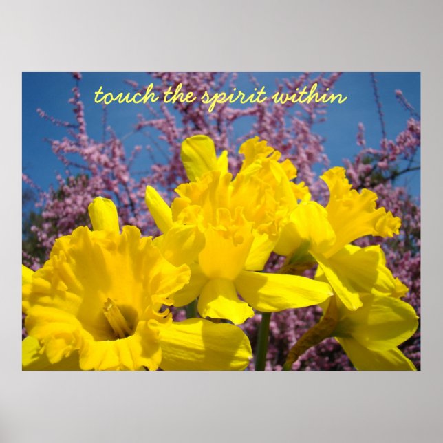 Touch des Geistes in Art Prints Yellow Daffodil Poster (Vorne)