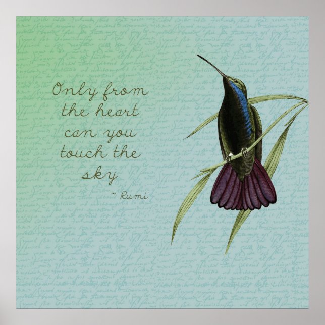 Touch des Sky Hummingbird Poster (Vorne)