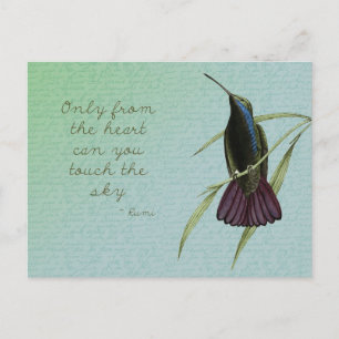 Touch des Sky Hummingbird Postkarte