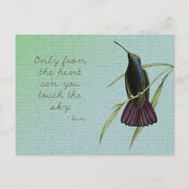 Touch des Sky Hummingbird Postkarte (Vorderseite)