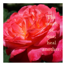 Touch einer heilt die andere Rose-Drucke