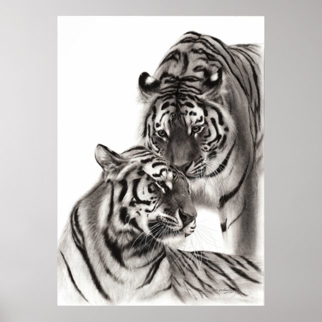 Touch - Handgemalte Tigerarmaturen Poster (Vorne)