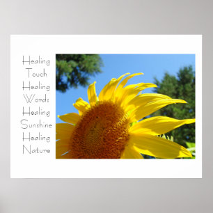 Touch Heilkunst druckt Gelbe Sonnenblume Poster