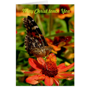 Touch Mais Christus Sie