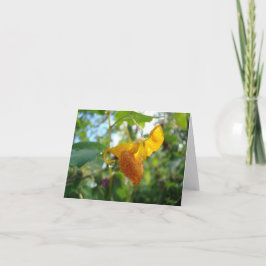 Touch-Me-Not-Orange-Wildblume Karte