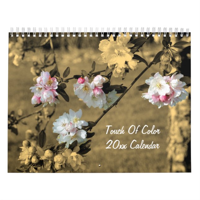 Touch Of Color Flowers And Nature Kalender (Titelbild)