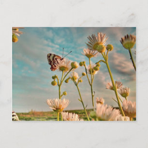 Touch of Magic  Dust From Oz Postkarte