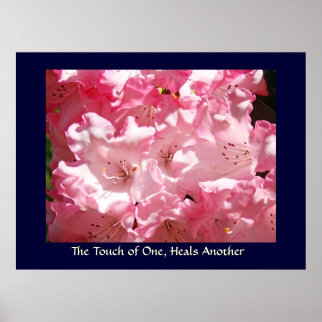 Touch One, Heals Another Art Print Pink Rhodies Poster (Vorne)