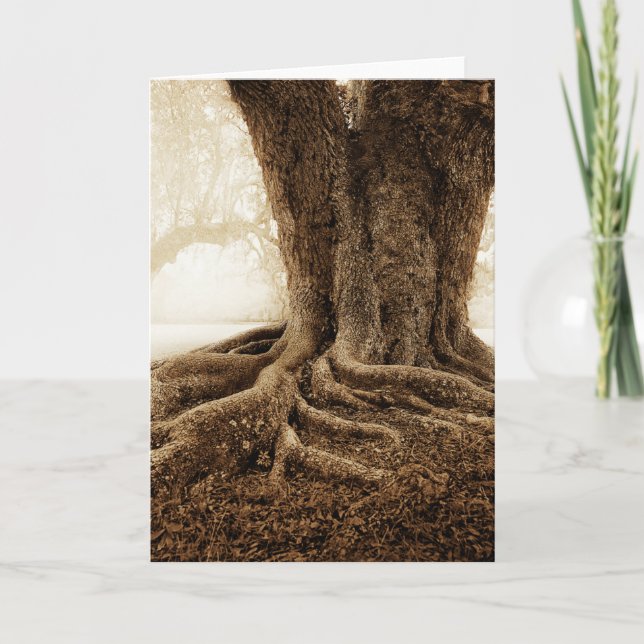 Touching_Earth_MW1104 Karte (Vorderseite)