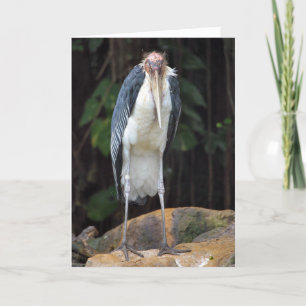 Tough Old Bird Birthday Card Karte