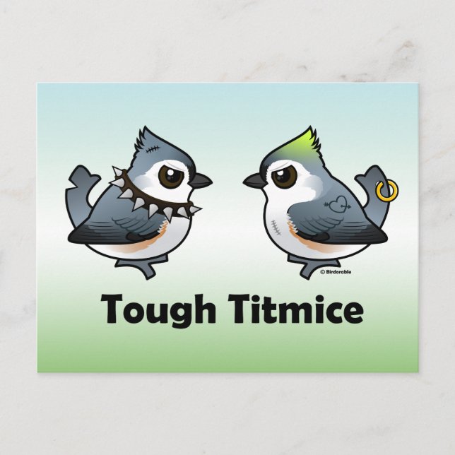 Tough Titmice Postkarte (Vorderseite)