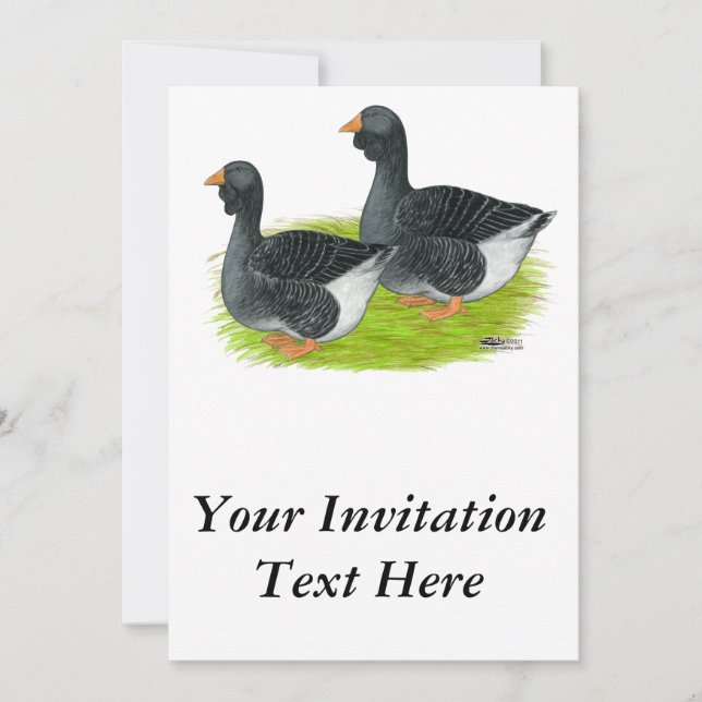 Toulouse Dewlap Geese Einladung (Vorderseite)