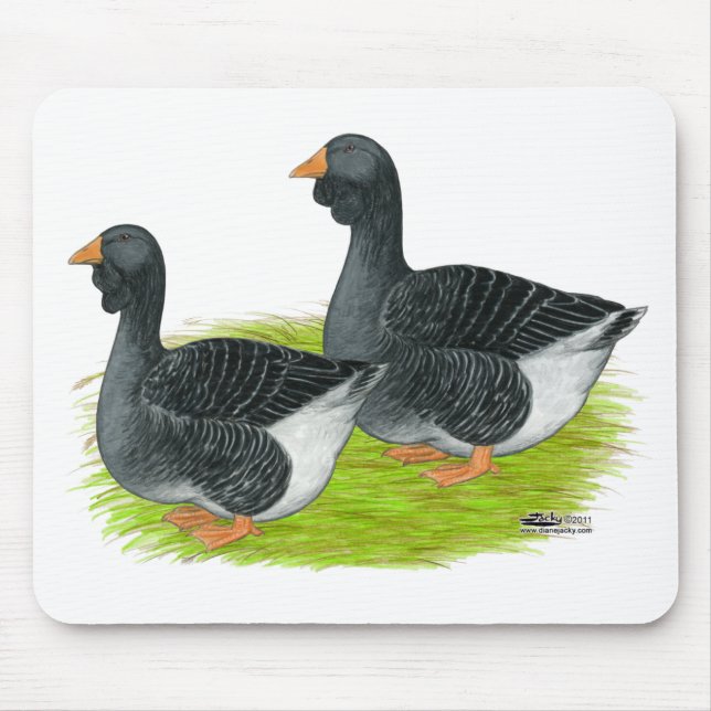 Toulouse Dewlap Geese Mousepad (Vorne)