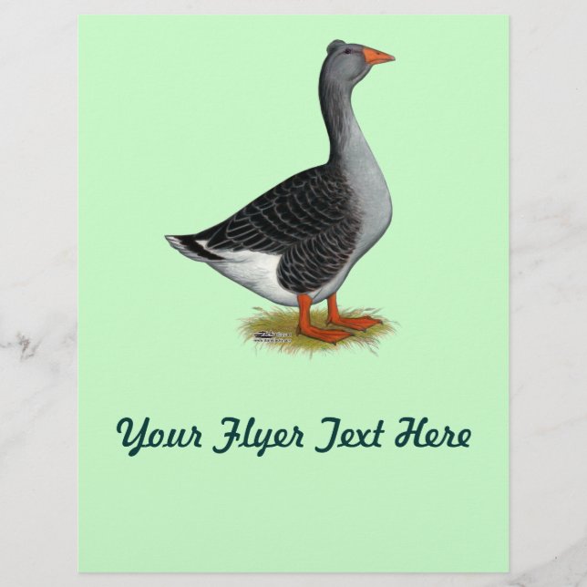 Toulouse Gans Tuff Flyer (Vorne)