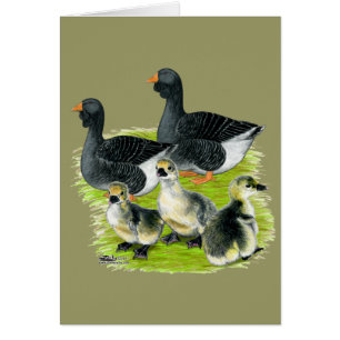 Toulouse Goose Family