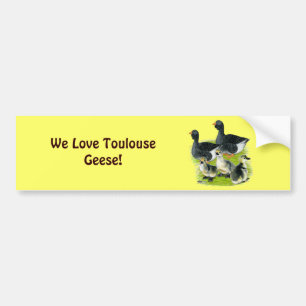 Toulouse Goose Family Autoaufkleber
