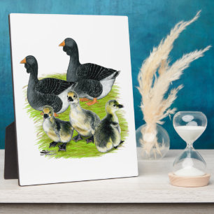 Toulouse Goose Family Fotoplatte