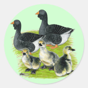 Toulouse Goose Family Runder Aufkleber