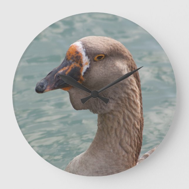 Toulouse Goose Große Wanduhr (Vorderseite)