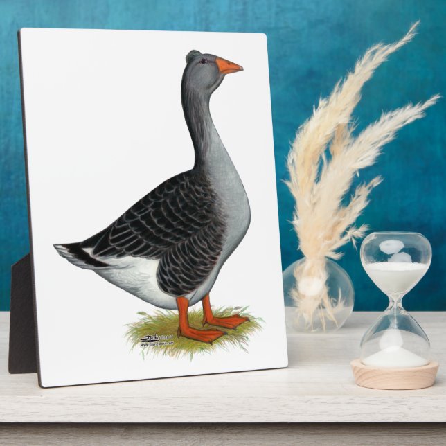 Toulouse Gose Tufted Fotoplatte (Seite)