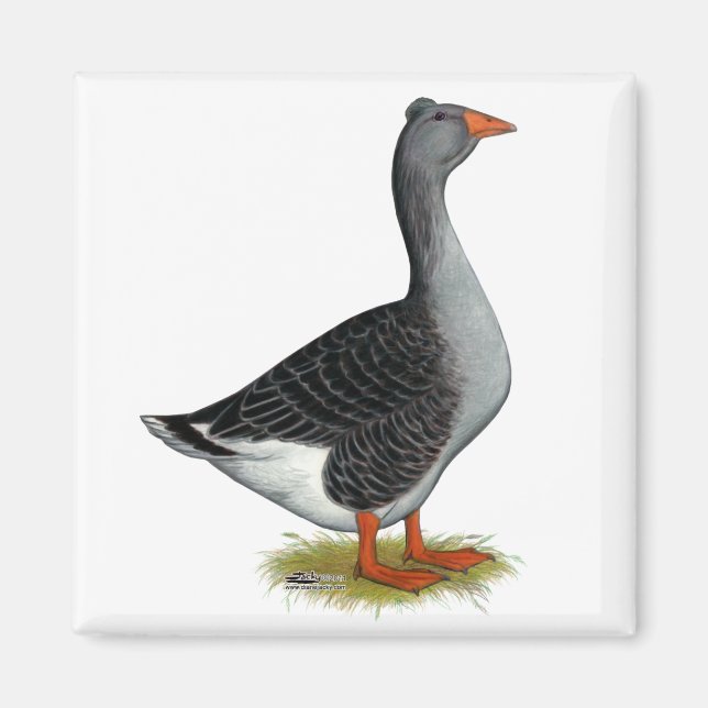 Toulouse Gose Tufted Magnet (Vorne)