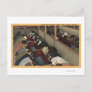 Touristen mit Blick auf die U-Boot-Gärten Postkarte