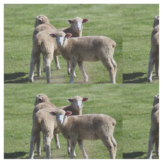 Touristen Stoff (Nahaufnahme)