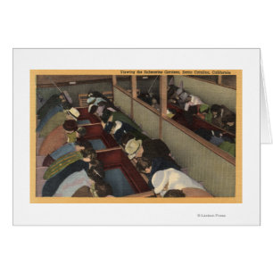 Touristen, welche die Unterseeboot-Gärten ansehen