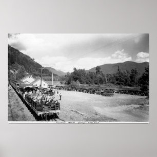 Touristenzug des Skagit-Projekts Poster