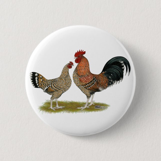 Tournaisis Bantams Button (Vorderseite)