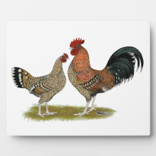 Tournaisis Bantams Fotoplatte