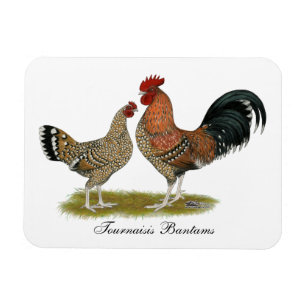 Tournaisis Bantams Magnet