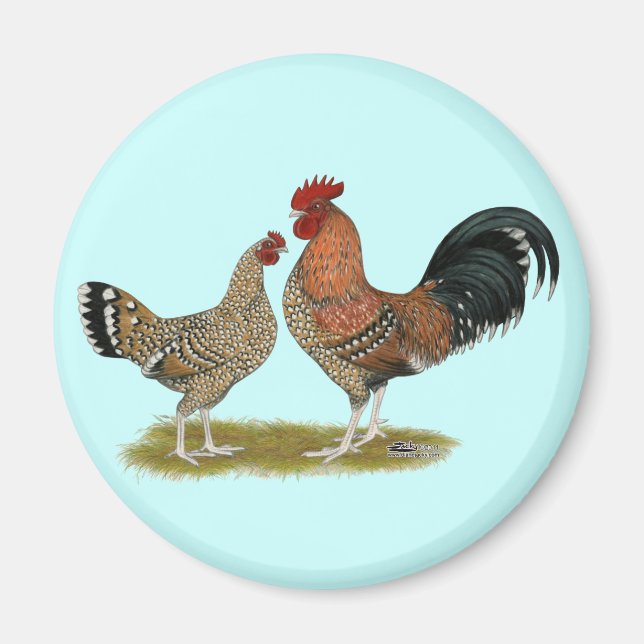 Tournaisis Bantams Magnet (Vorne)