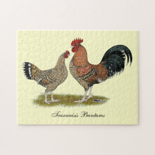 Tournaisis Bantams Puzzle