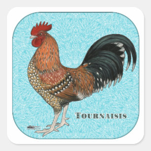 Tournaisis Rooster Quadratischer Aufkleber