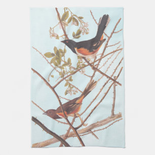 Toweed Bunting Audubon Black and Orange Song Birds Geschirrtuch