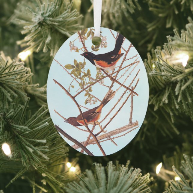 Toweed Bunting Audubon Black and Orange Song Birds Ornament Aus Metall (InSitu)