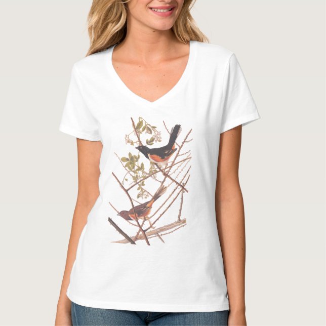 Toweed Bunting Audubon Black and Orange Song Birds T-Shirt (Vorderseite)