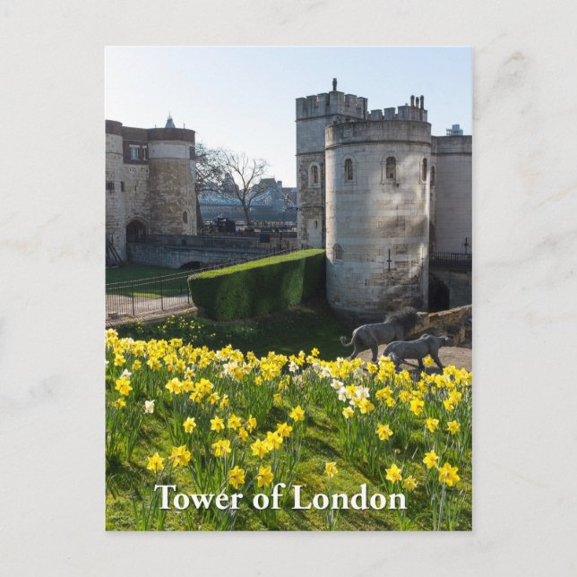 Tower of London, England Postkarte (Vorderseite)