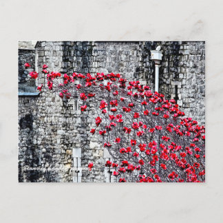 Tower of London Poppies Postkarte