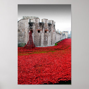 Tower of London Poppies Red Poppy Poster