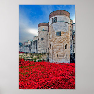 Tower of London Red Poppies England Poster