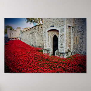 Tower of London Red Poppies England Poster