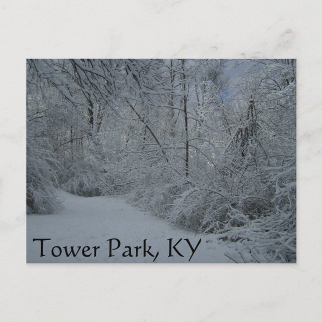 Tower Park, KY Postkarte (Vorderseite)