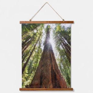 Towering Redwoods Wandteppich Mit Holzrahmen