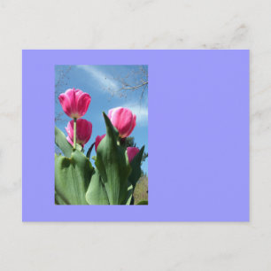 Towering Tulips Postkarte