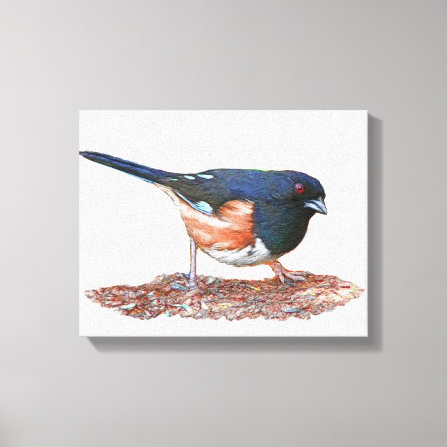 Towhee Leinwanddruck (Vorderseite)