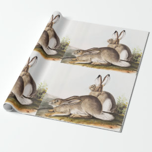 Townsend's Rocky Mountain Hare (Lepus Townsendii) Geschenkpapier